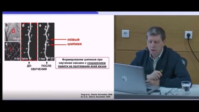 обретение нового опыта на уровне нейронов