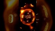 Mitosis: the masterful dance of cellular division… #biology #science #interestingfacts #nature