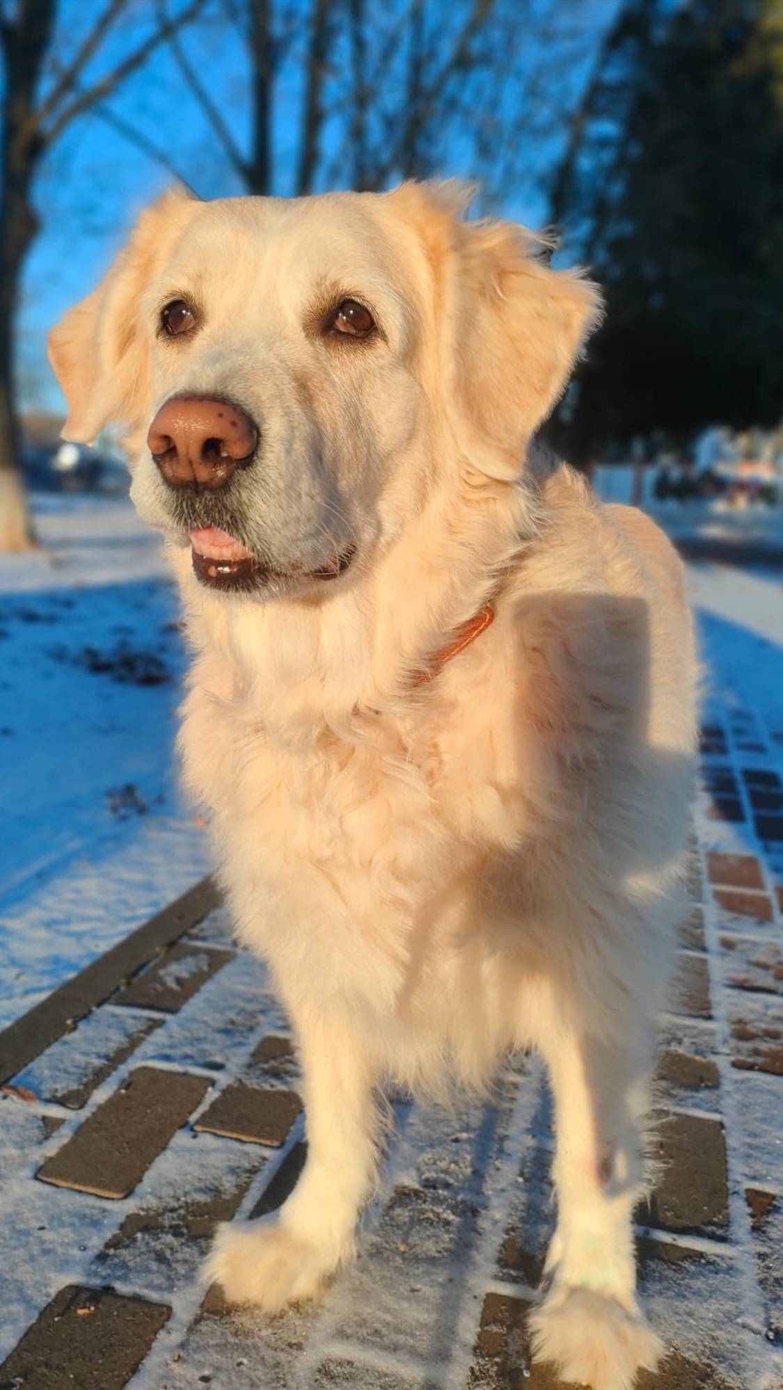 Тори 2024 декабрь #animals