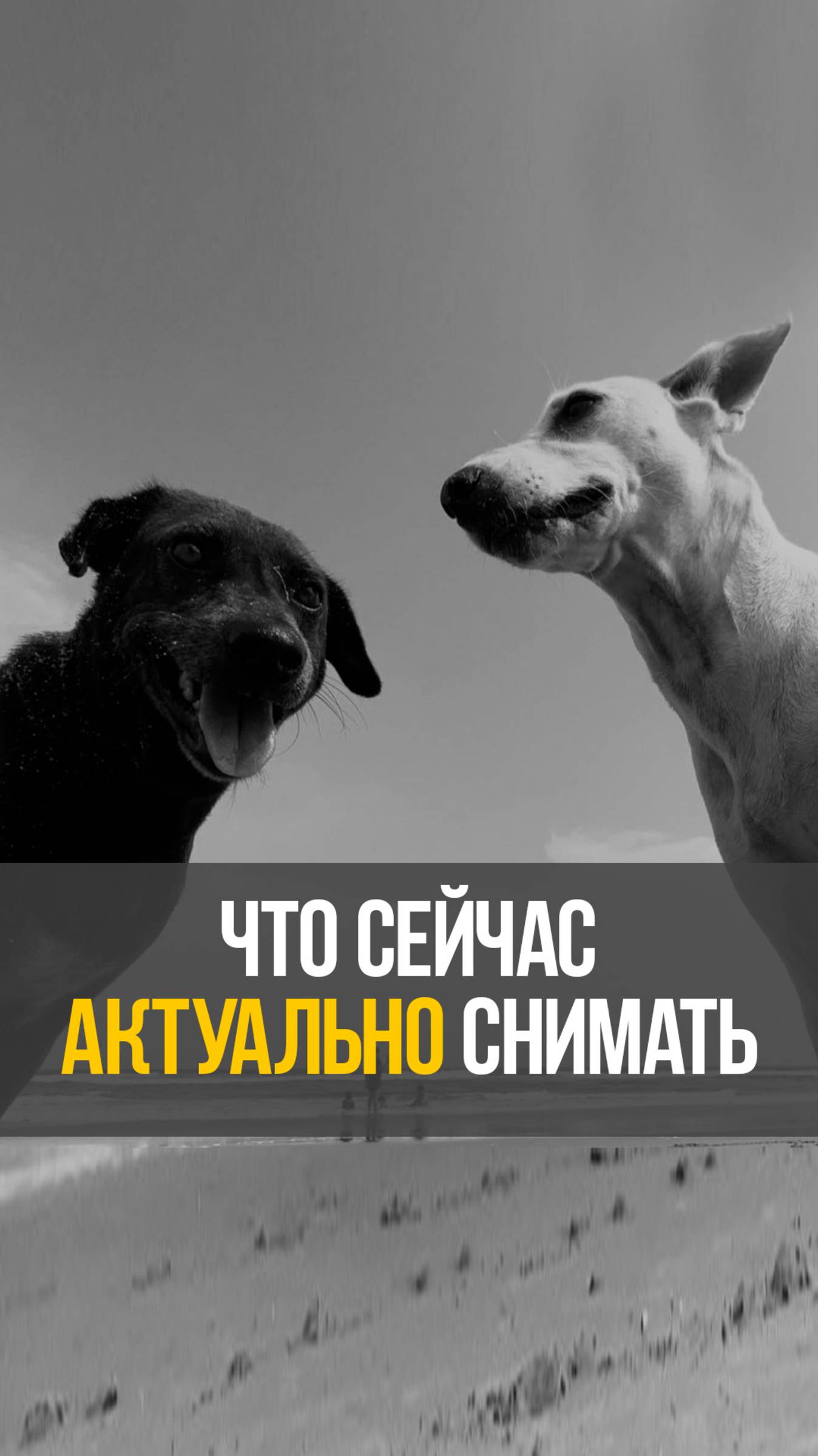 Что сейчас нужно снимать