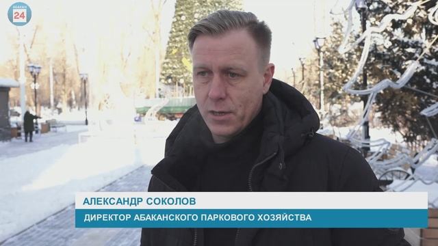 В Черногорском парке Абакана появился символ наступающего года.