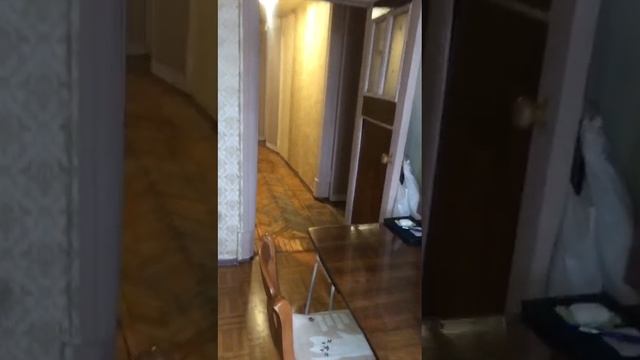 1000058933.mp4