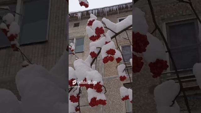 Смотри, какая красота!