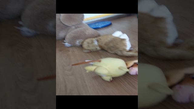 Мои любимые