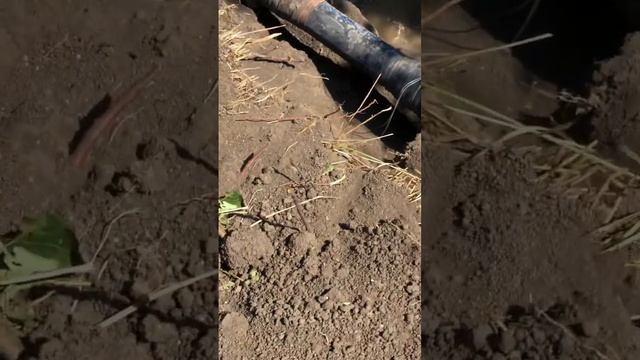 Порвали трубу водяную 100 асбест