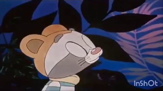 "Кырачаан енот"