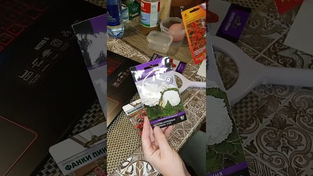 БЕГОНИЯ / ПОСЕВ
