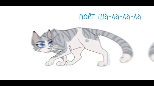 коты воители#надеюсь подружимся#снимаю про кв#люблю всех#не кого не брошу#♡