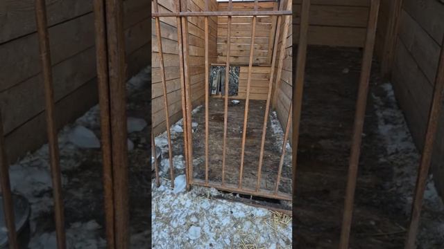VID_20241218_195626_145
