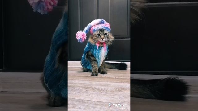 наташамем 😻💕❤️💗
