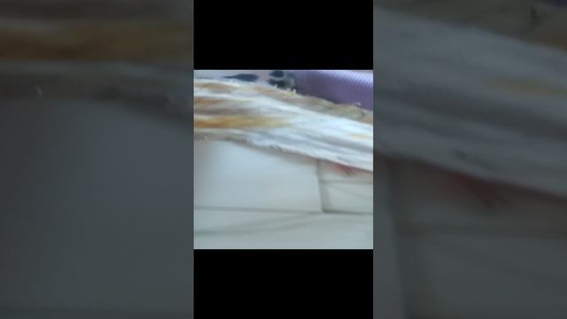 Шью змею.