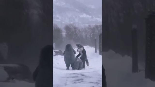 ПОСЛЕ КОРПОРАТИВА
