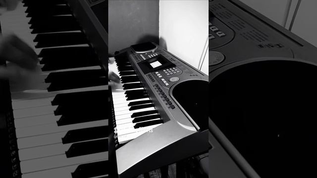1000338005.mp4