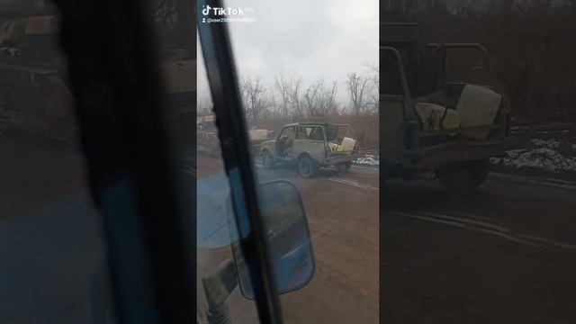 красота