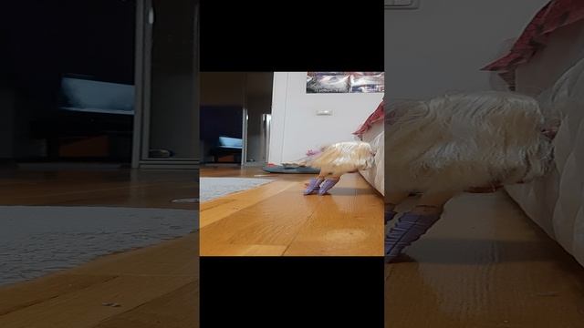 мультик Винкс конец 4 сезона