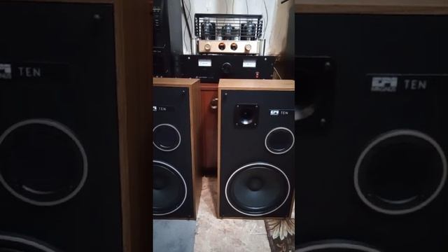 Акустика Epicure magnus 10. Видео номер 2