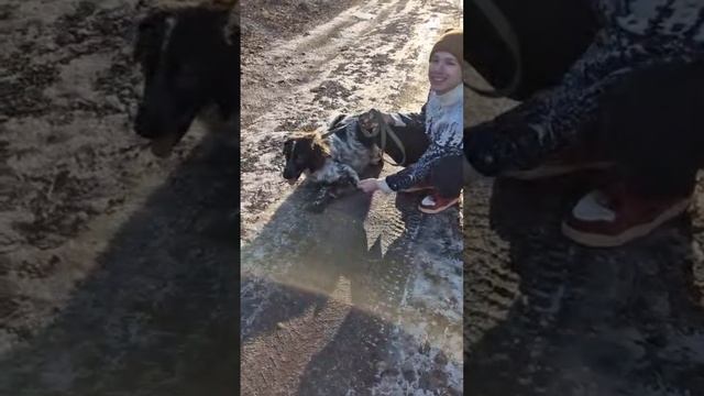 VID_20241218_193032_371