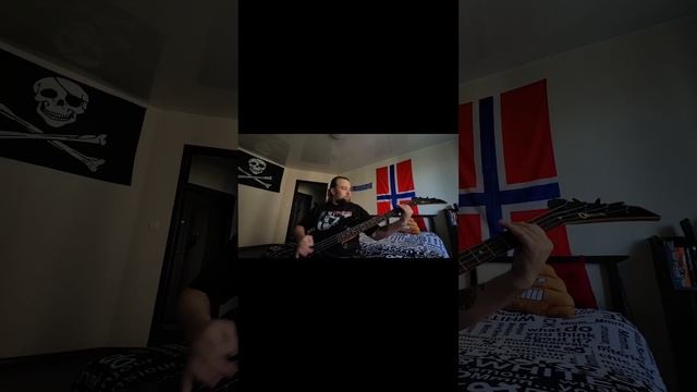 Понты дороже денег Purgen cover #metalcover #punk #guitarcover #пурген