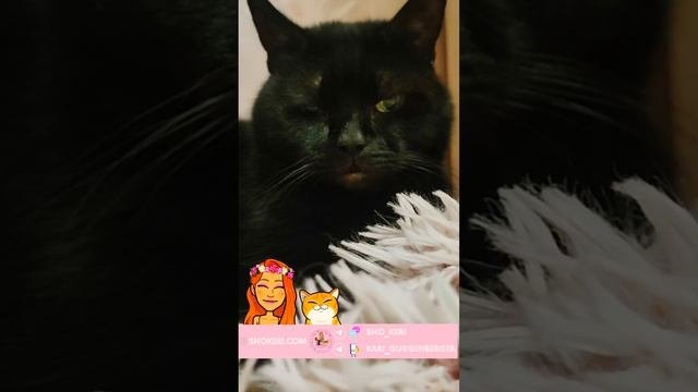 Мы не обязаны нравиться всему миру