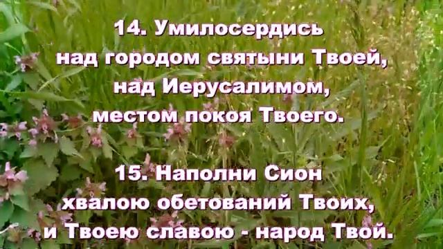 36.  Сирах