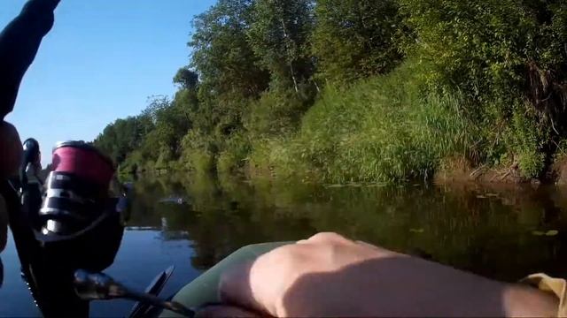 Рыба клюнула на самом падении приманки / Рыбалка на  голавля