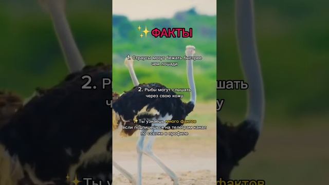 #5