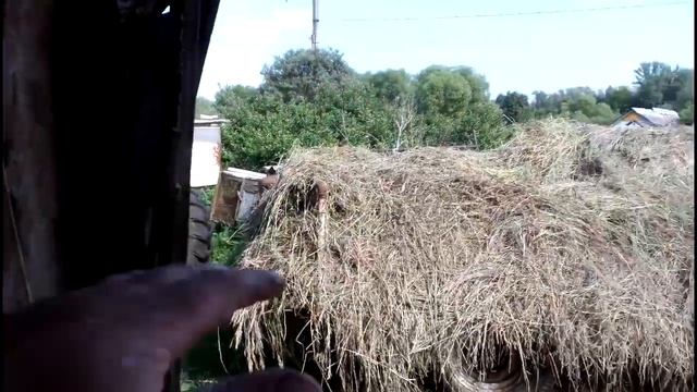 Привез сено,закидываю в сеновел и мечтаю о прес подборщике)))
