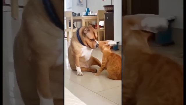 1000068825.mp4