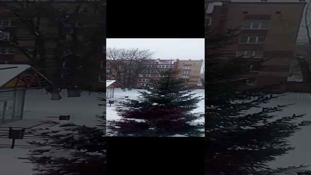 Снег Идет МЦ Порт В Зеленодольске