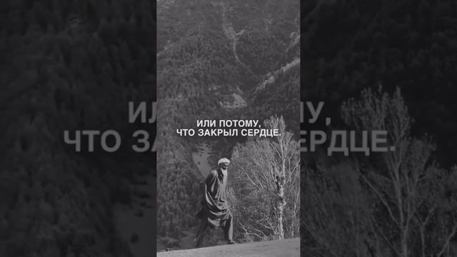 добрата.mp4