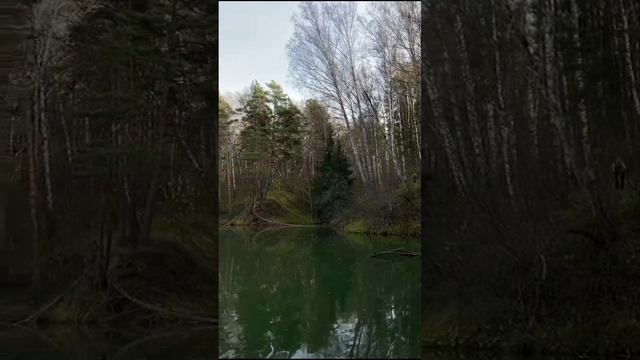 19-12-2024осень