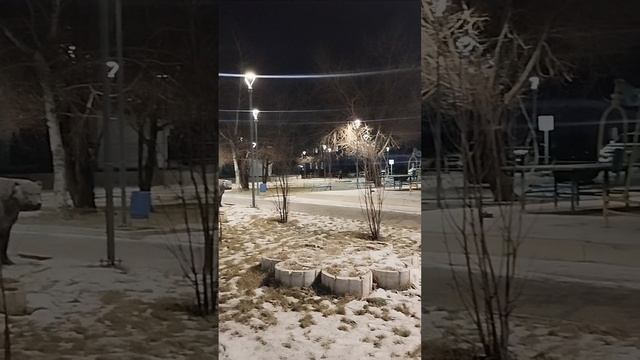 1000428481.mp4