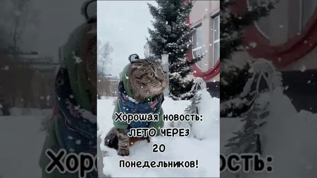 В кавычках хорошая новость!!!