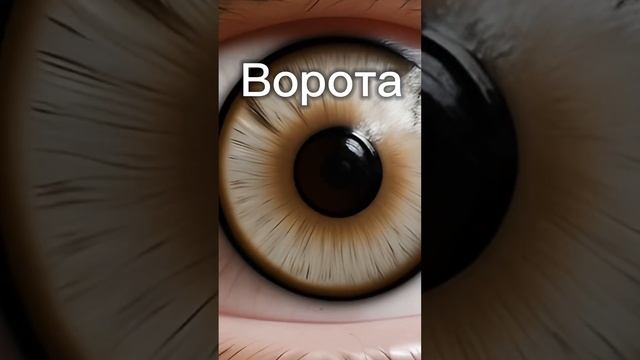 Топ-3 эффективных упражнения для улучшения зрения
