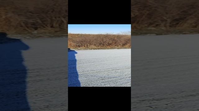 Волгодонск - Лозной в -7°