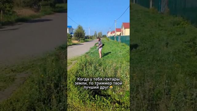 А вы любите запах скошенной травы? Как сэкономить на покупке земли: https://vk.cc/cxZ2Ly