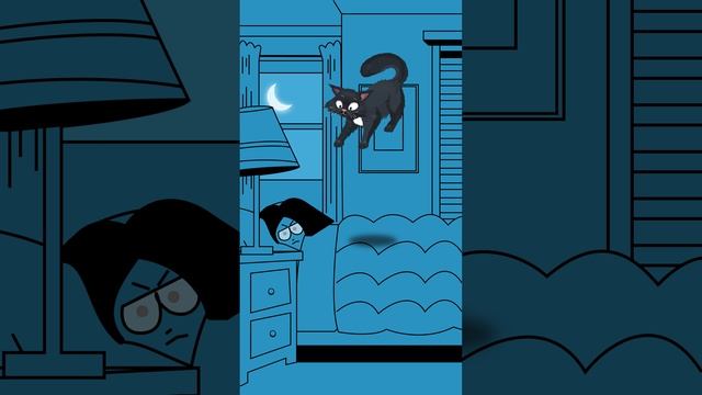 Ночной режим кота активирован!