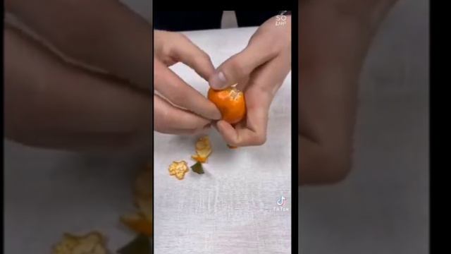 lv_0_20241219090600.mp4