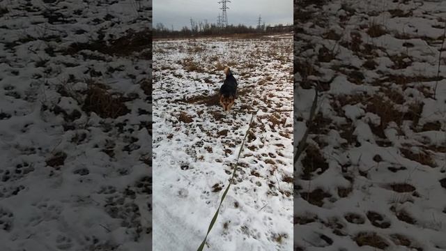 Наш Великолепный Джан😍
