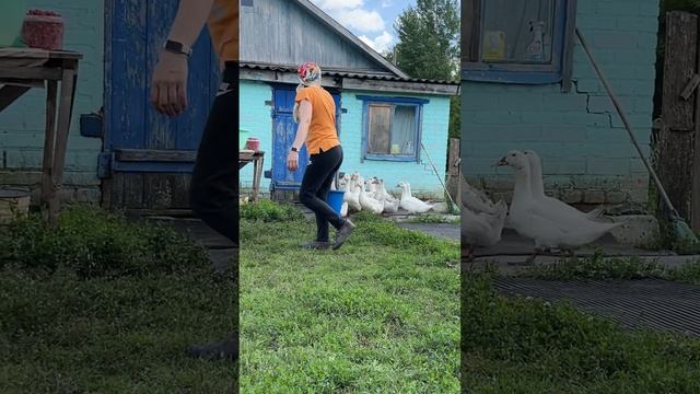 Несём уткам воды #ЯжеВика