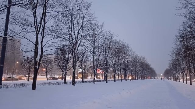 19.12.2024 . Погода Петербург . 09:29 . -8° .