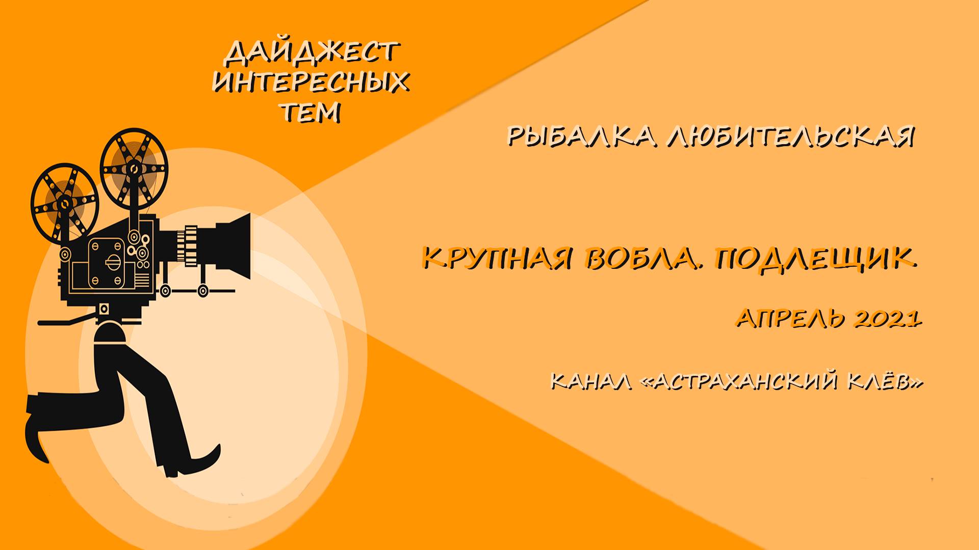 КРУПНАЯ ВОБЛА. ПОДЛЕЩИК. АПРЕЛЬ 2021