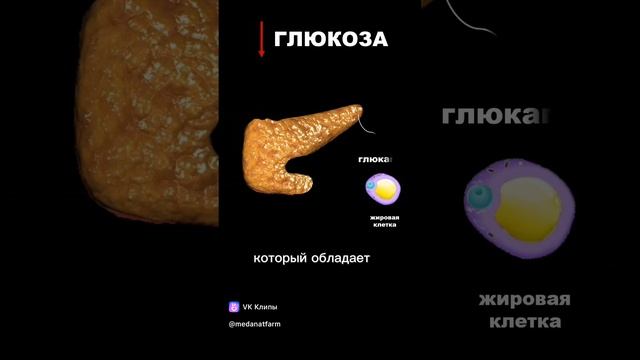 Как похудеть? #спорт #похудение