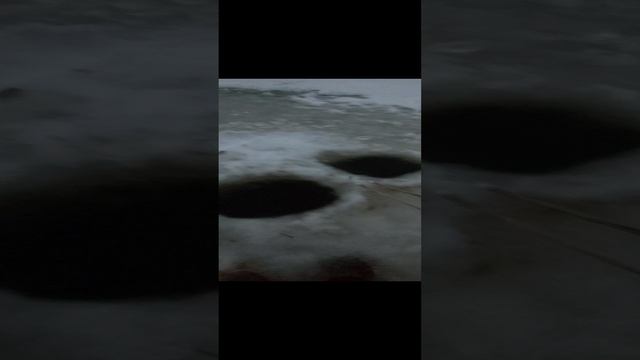 20241126_155340.mp4