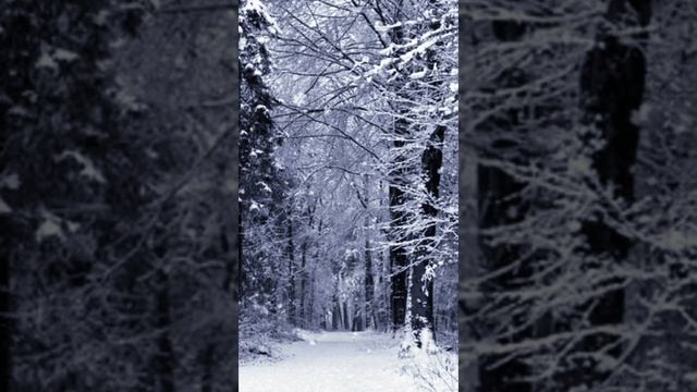 Ноябрьская песня".
Автор Рей Журавлёв.