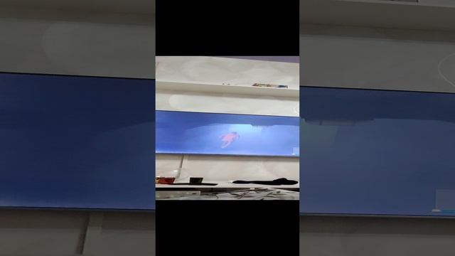 побег из пещеры