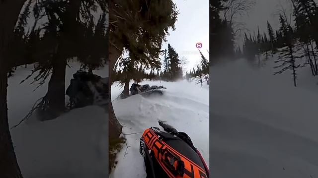 Дерево против рычагов от Voevoda, ничья. #snowmobile #insta360 #polaris #klim #приисковое