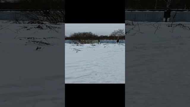 1000042482.mp4