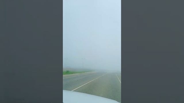 Дорога на работу