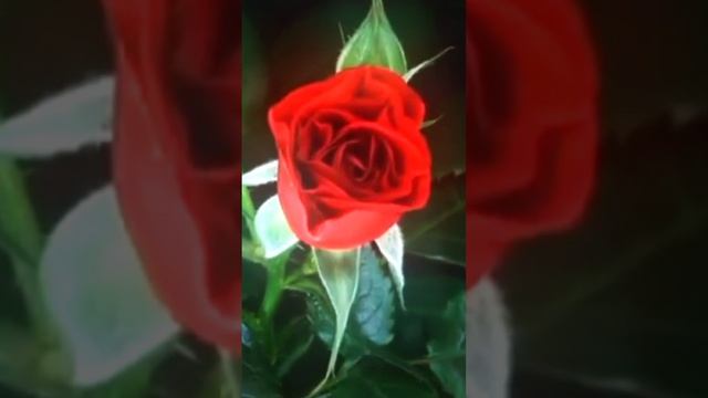 вдохновение